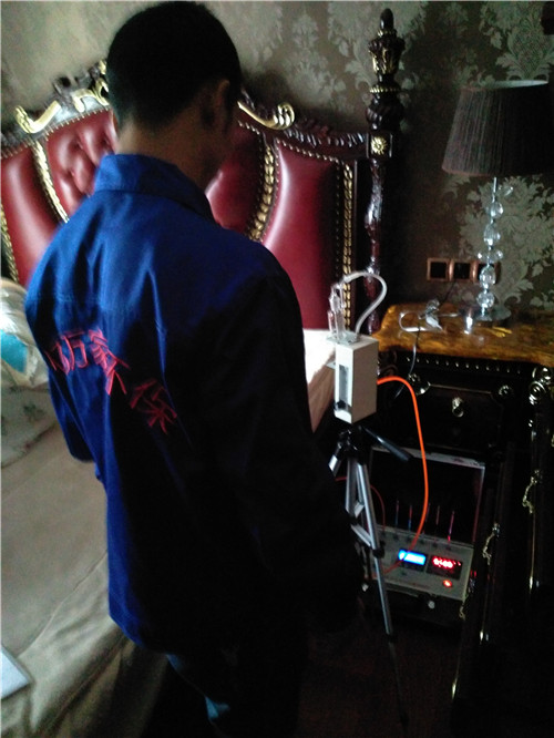 棕榈泉检测现场