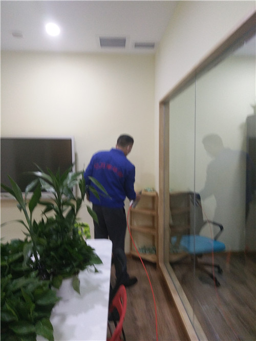 视拓英语除甲醛